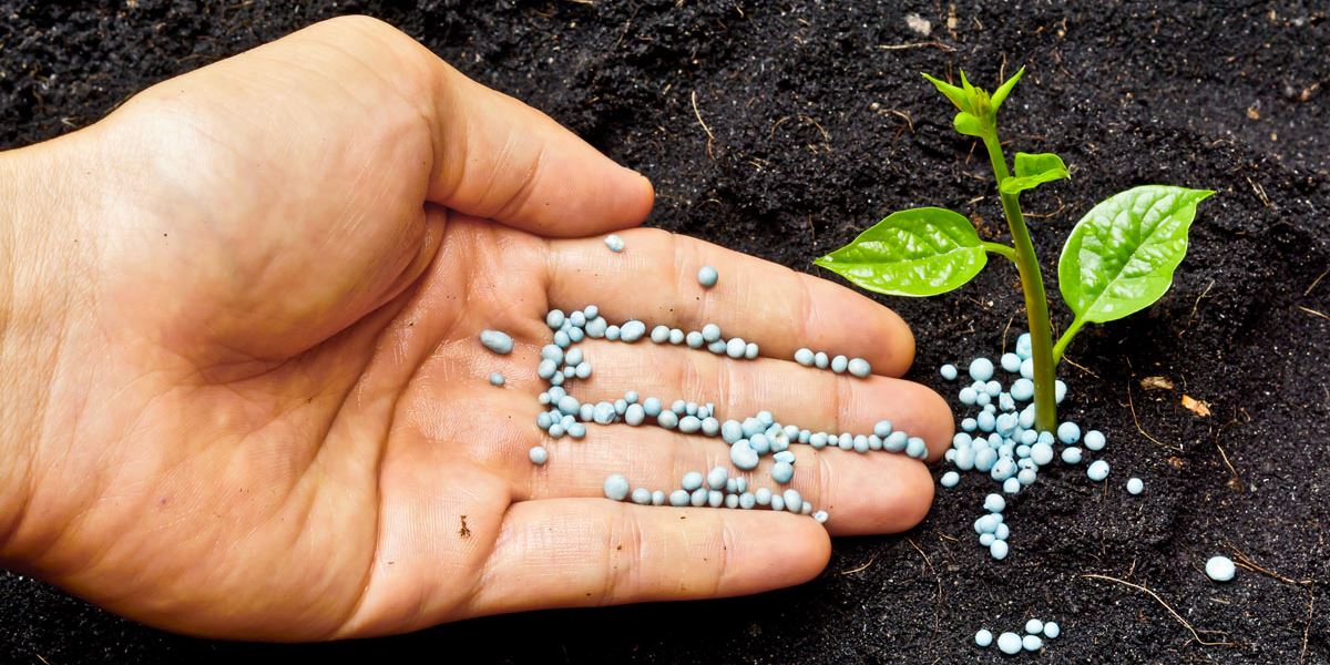 Concimi e fertilizzanti Mundi Siena