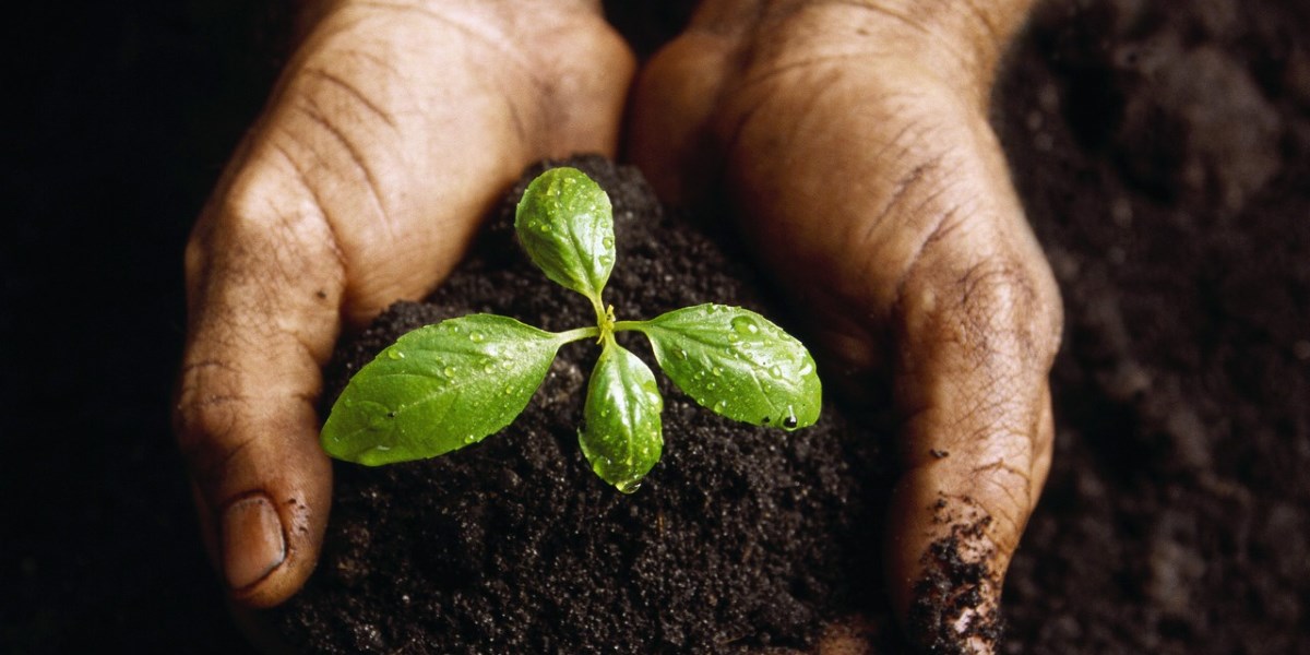 Vendita concimi e fertilizzanti Mundi Siena