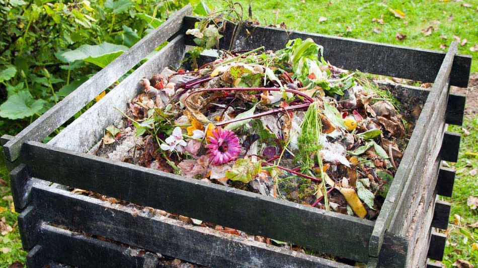 Compostiera ed attivatore: come fare un perfetto compostaggio
