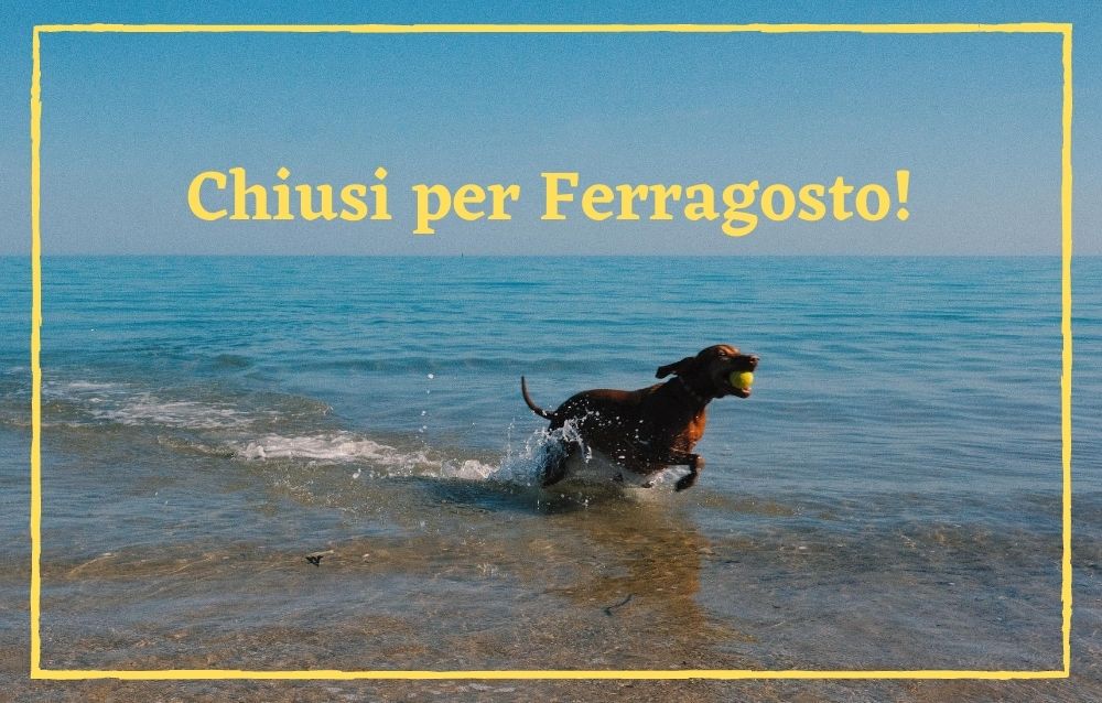 Chiusura Ferragosto 2020 Mundi