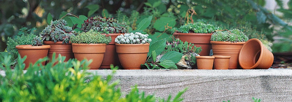 Vendita Vasi Da Giardino Siena