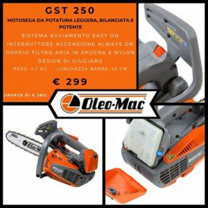 Oleomac GST 250